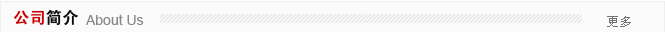 公司簡介